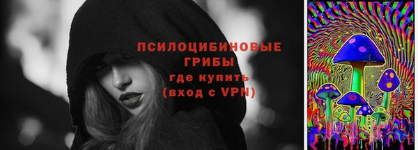 шишки Верхний Тагил