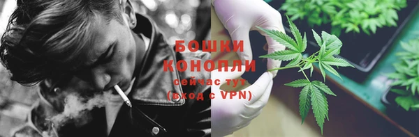 МДПВ Инта