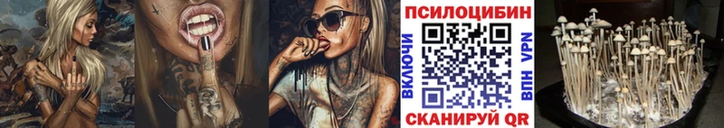 Галлюциногенные грибы Cubensis сколько стоит Ростов
