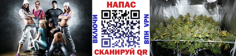 OMG как войти  Ростов  Каннабис Amnesia 